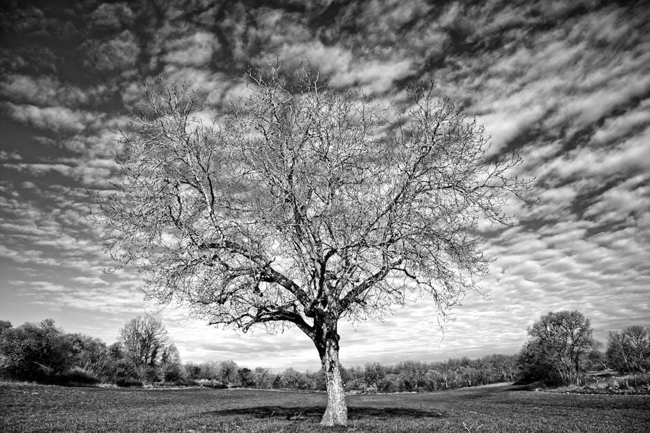 suffolk county bus schedule large print pdf