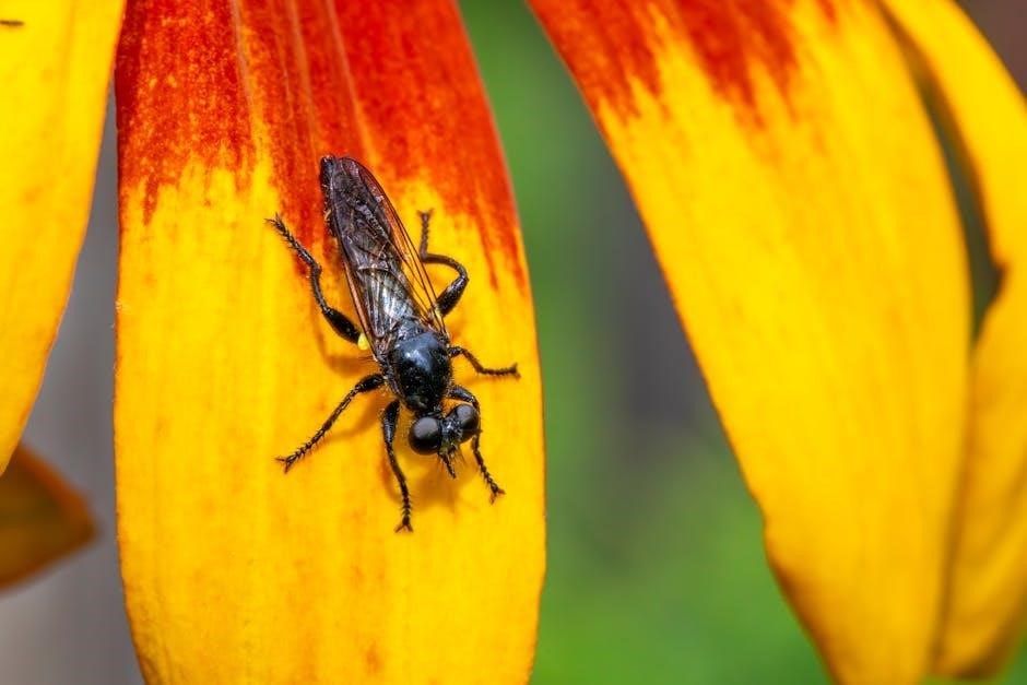 na basic text pdf free download