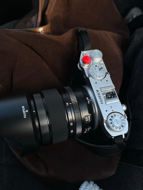 dial-4 scoring manual pdf