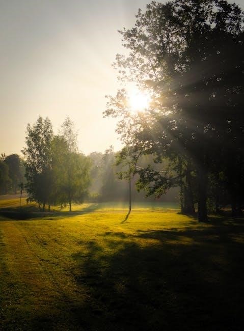 manual canon powershot sx60 hs