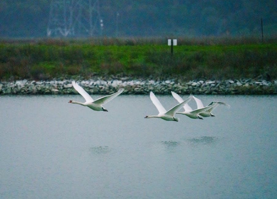 somebody wanted but so then pdf free